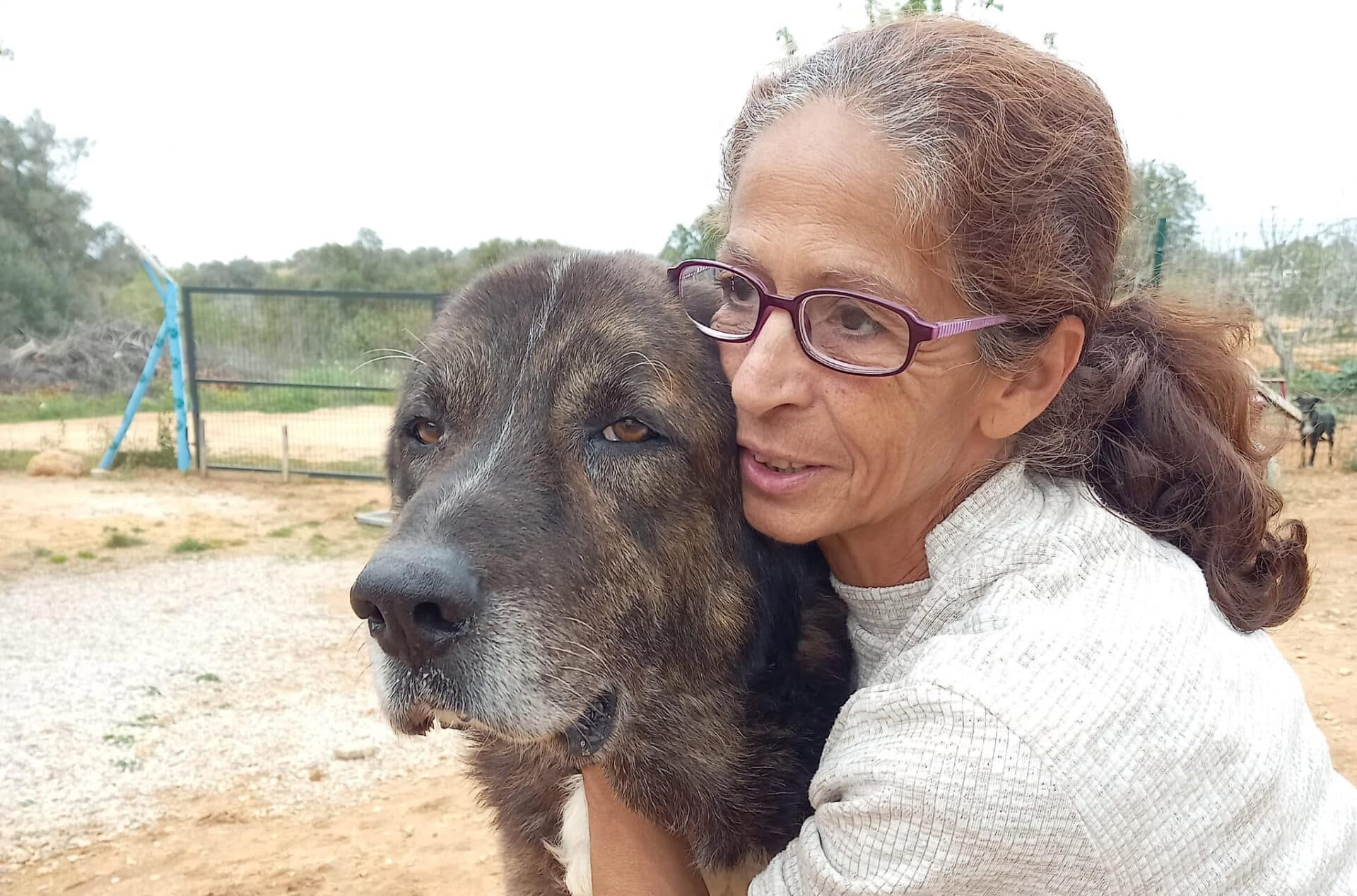 Albufeira dog shelter forced to relocate for third time