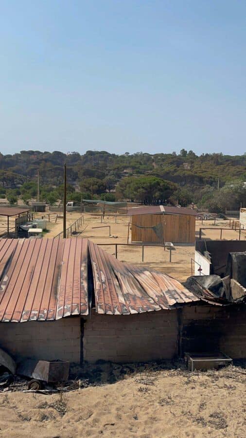 Almancil riding centre seeks help to rebuild after fire