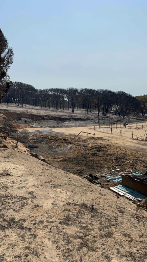 Almancil riding centre seeks help to rebuild after fire