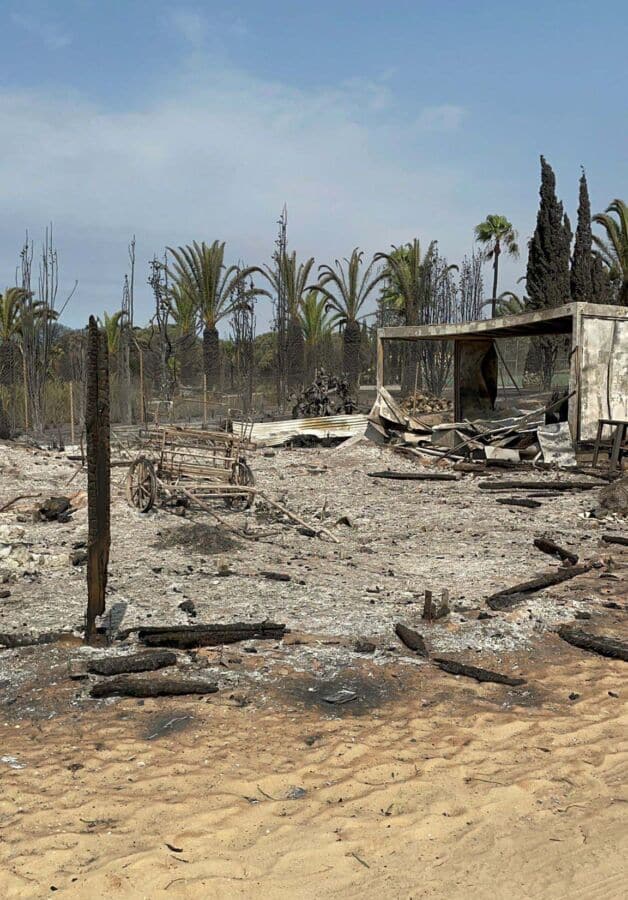 Almancil riding centre seeks help to rebuild after fire