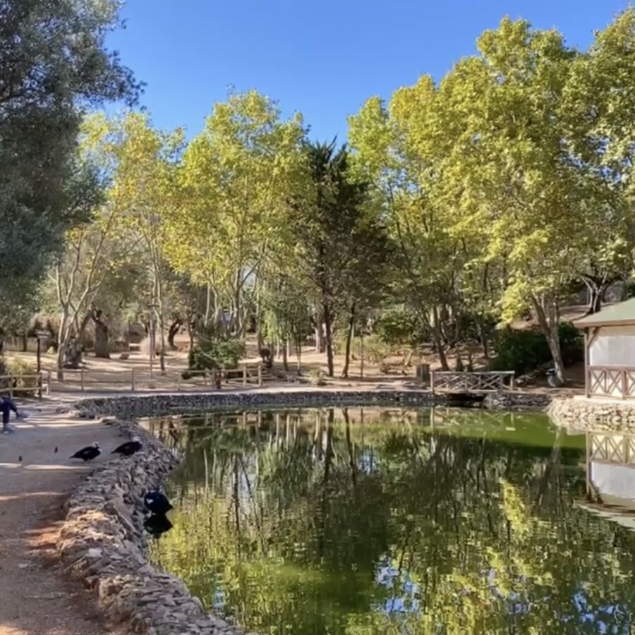 Portimão park to get long-awaited makeover in 2023|Portimão park to get long-awaited makeover in 2023|Portimão park to get long-awaited makeover in 2023