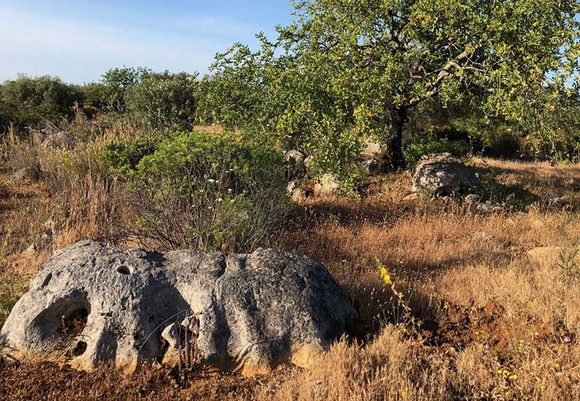 It may look like nomansland, but Probaal explains this valley sits on top of a massive cave system which "holds the key to life for humans here"...|