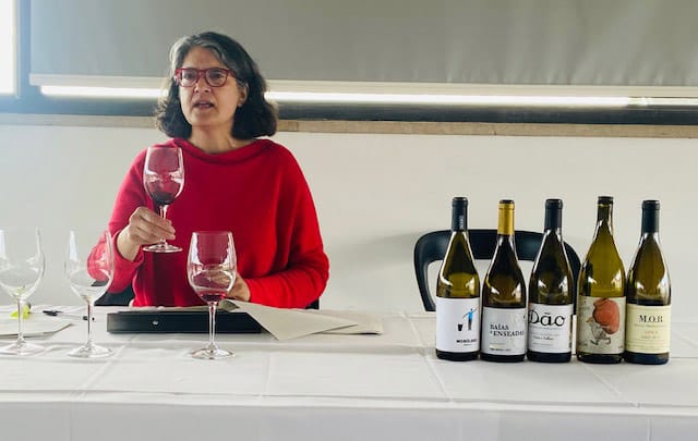 It’s back to school for Algarve Wine Society|It’s back to school for Algarve Wine Society|It’s back to school for Algarve Wine Society|It’s back to school for Algarve Wine Society|It’s back to school for Algarve Wine Society|It’s back to school for Algarve Wine Society