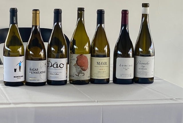 It’s back to school for Algarve Wine Society