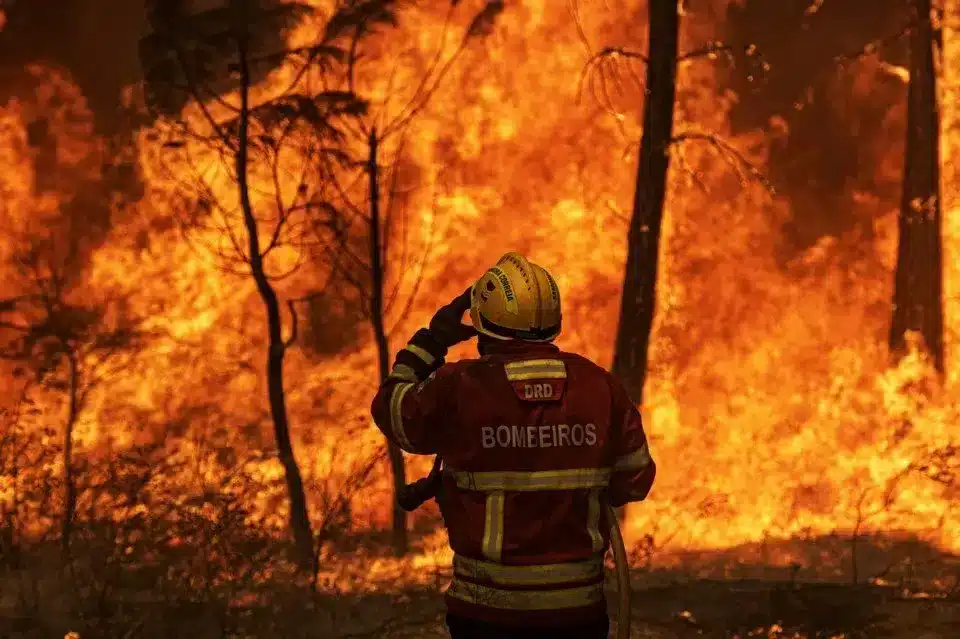 Arson behind more than third of Portugal’s wildfires this season