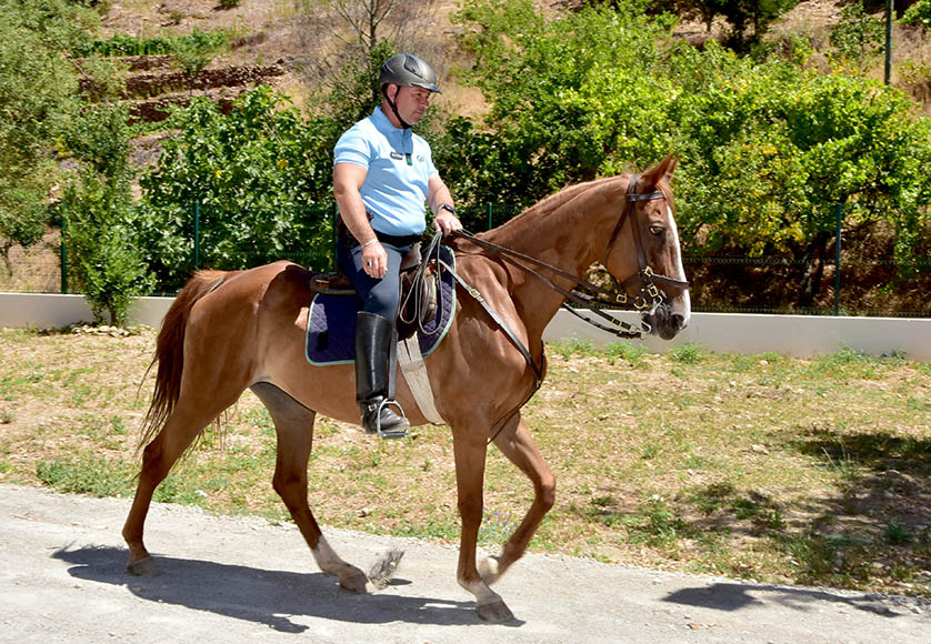 Mounted police to patrol Serra do Caldeirão|Mounted police to patrol Serra do Caldeirão