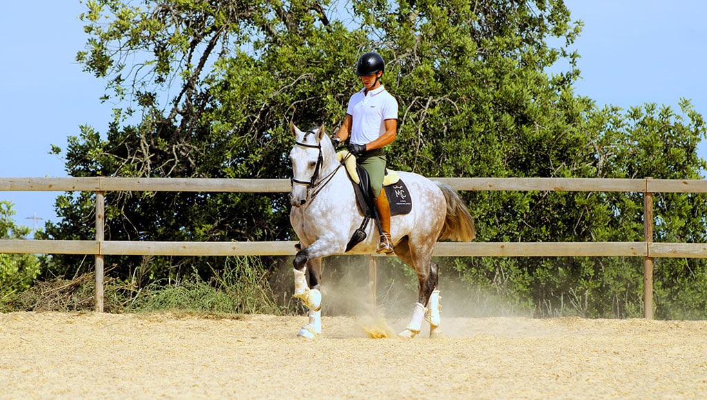 Instructor João Tiago Pinto - Principal|Horseriding 4135|Horseriding NOVA