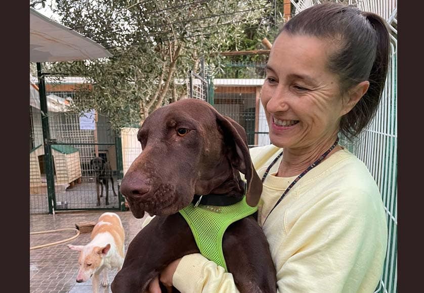 Charity events to help Tiny Shelter|Charity events to help Tiny Shelter|Charity events to help Tiny Shelter