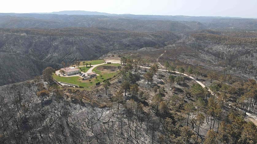 Island of Green SML: “Saved by irrigation: this house on a hill was saved by space and flood irrigation which kept the fire away” (Photo: ALASTAIR LEITHEAD)|“The fire shown here from Café Portela in Relva Grande doubled in size in a matter of hours and was blown towards São Teotónio” (Photo: ALASTAIR LEITHEAD)|“Scorched earth: the land was all burned last September, but grass and medronho trees have already recovered” (Photo: ALASTAIR LEITHEAD)|“Blackened valley: the fire burned part of our guesthouse, but it could have been a lot worse” (Photo: ALASTAIR LEITHEAD)|“Close call last year: if the petrol tank had blown up, it would have destroyed the technical house and all the solar equipment inside” (Photo: ALASTAIR LEITHEAD)|“Fighting the fire at Vicentino vineyard: the staff saved the winery and the harvest” (Photo courtesy OLE MARTIN SIEM)