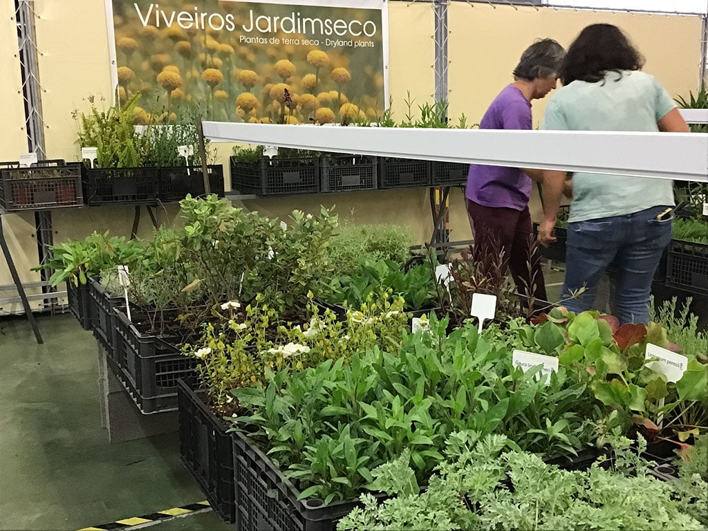 Jardim Seco stand|Orchard of Flavours selection at garden fair|Orchids at the garden fair|Seed bombs|Volunteers at the entrance Spring 2023