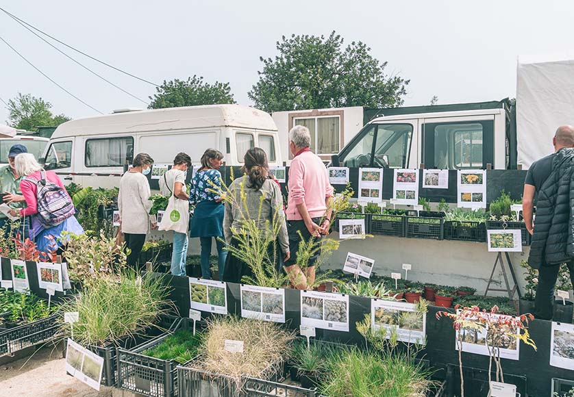 Jardim Seco stand|Amaryllis|olourful ceramic plant pots|Narcissus poeticus actaea|SIGMETUM plant sales