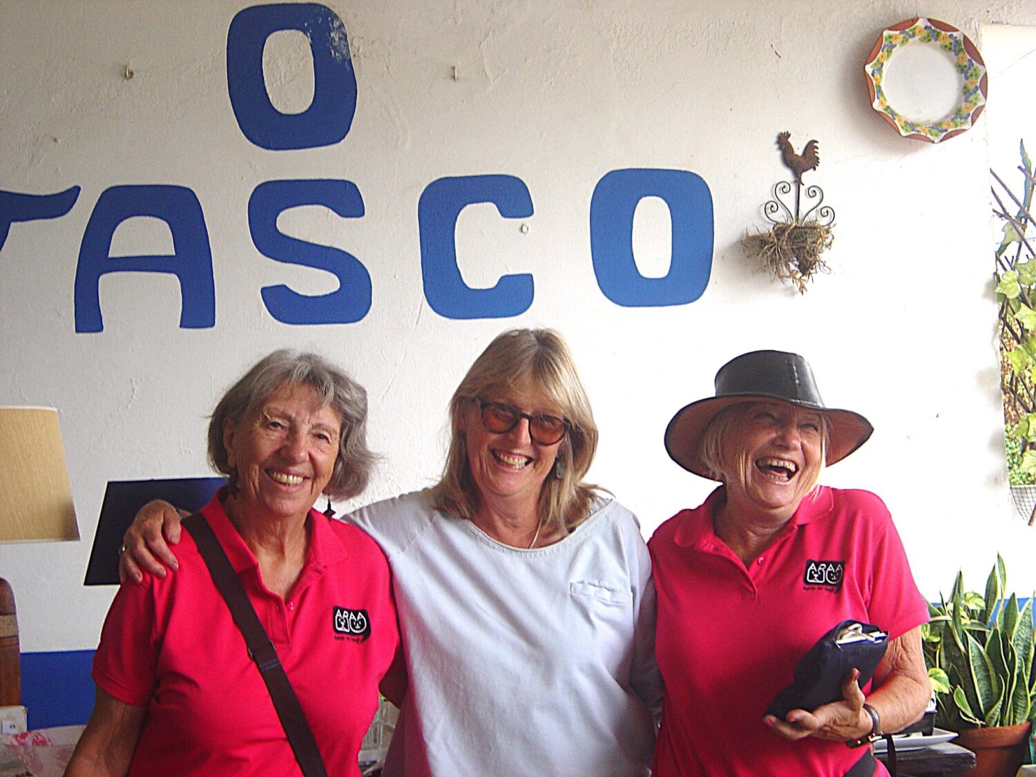Jenny, Judy and Anita|Cat van