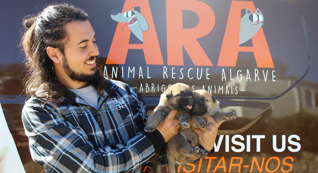 Animal Rescue Algarve visits Loulé schools to promote animal welfare