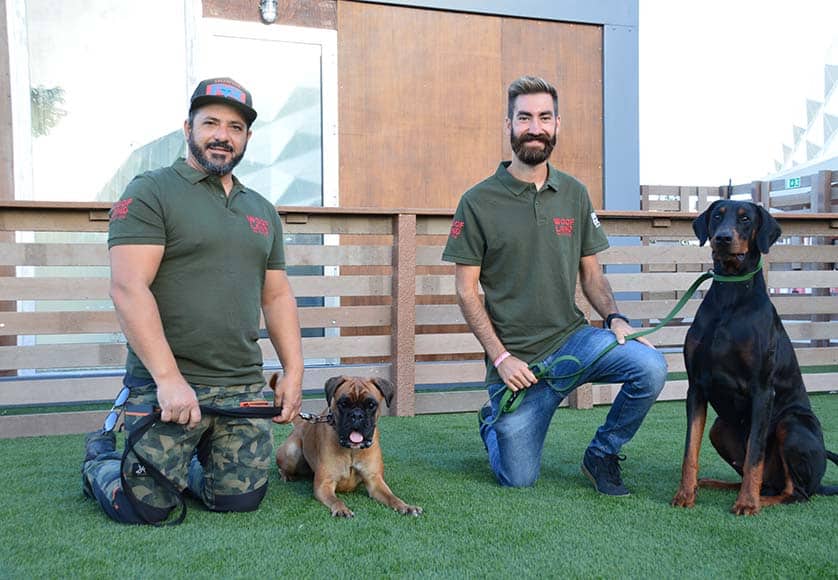 ‘Woofland’ to reopen under new management at Mar Shopping