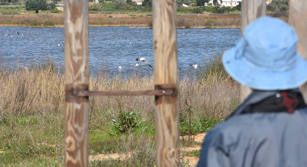 Almargem warns: “There is still a lot of work to do at Lagoa dos Salgados”