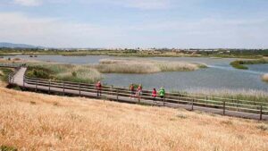 Free birdwatching events at Lagoa dos Salgados
