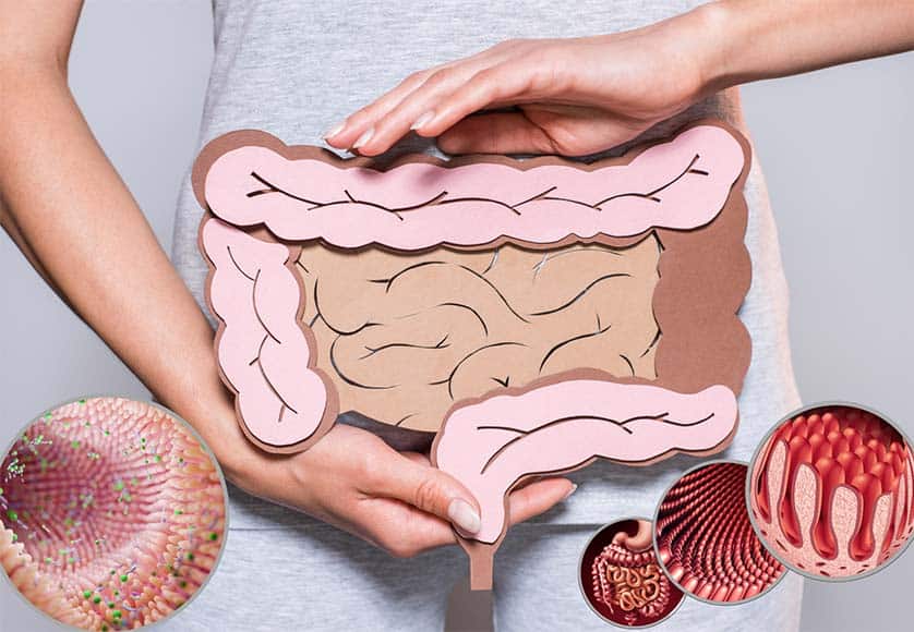 Leaky Gut|Fig 1: Factors contributing to intestinal barrier impairment and systemic diseases. HFD: high fat diet; LPS: lipopolysaccharide; GVB: gut vascular barrier; TLRs: toll-like receptors. Ref: Int. J. Environ. Res. Public Health 2021 Dec; 18(23): 12836.