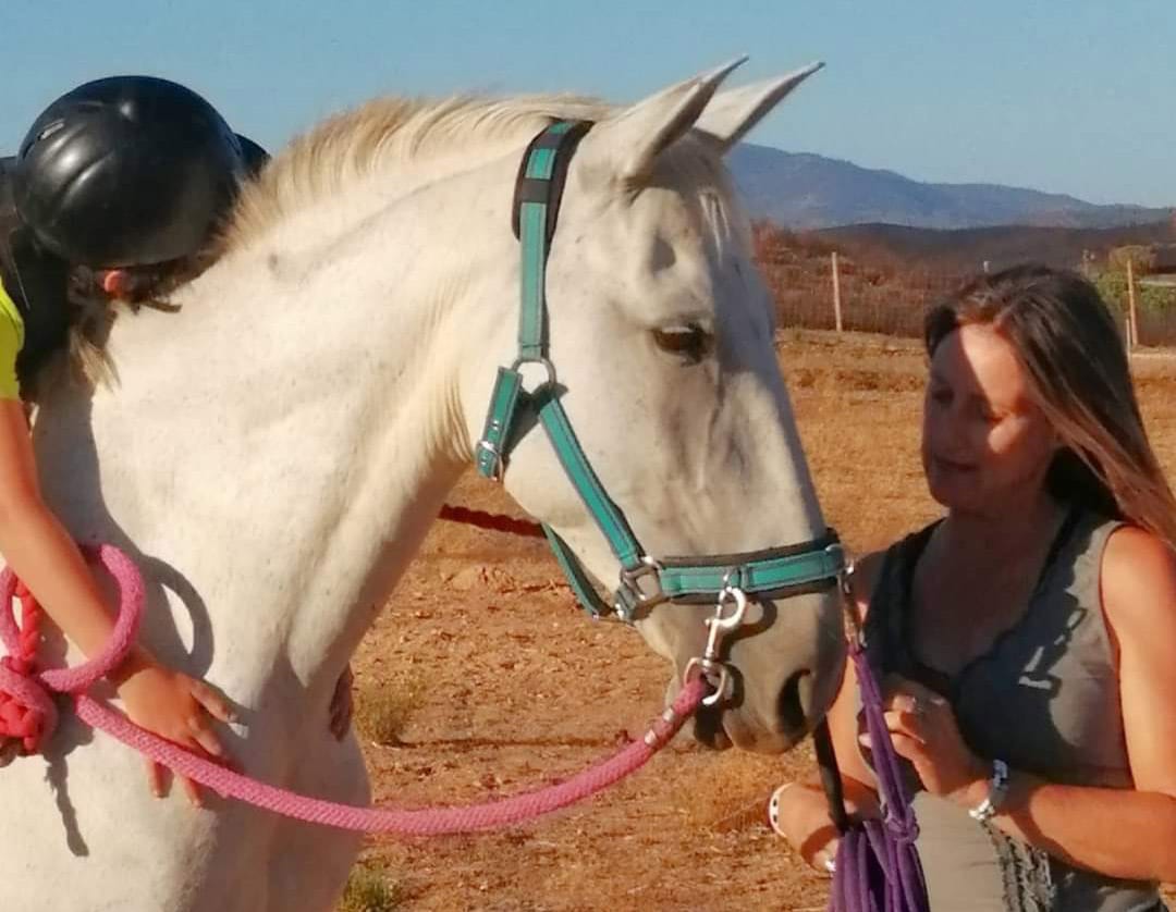 Pet corner: Talk the talk, walk the walk|Pet corner: Talk the talk, walk the walk|Pet corner: Talk the talk, walk the walk|Pet corner: Talk the talk, walk the walk|Pet corner: Talk the talk, walk the walk