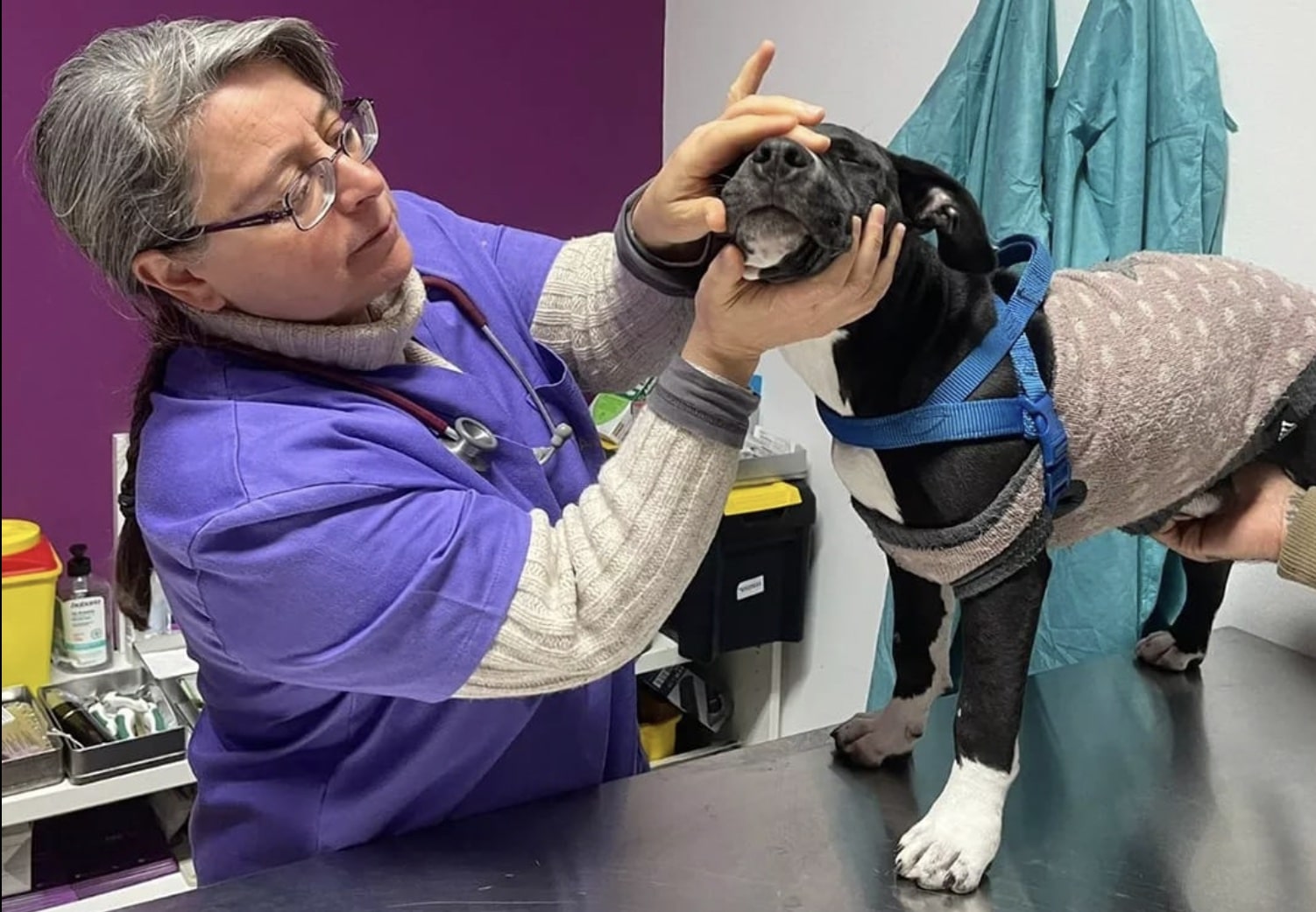 Lisbon association shelters homeless people with pets during cold snap.3|Lisbon association shelters homeless people with pets during cold snap.2|Lisbon association shelters homeless people with pets during cold snap