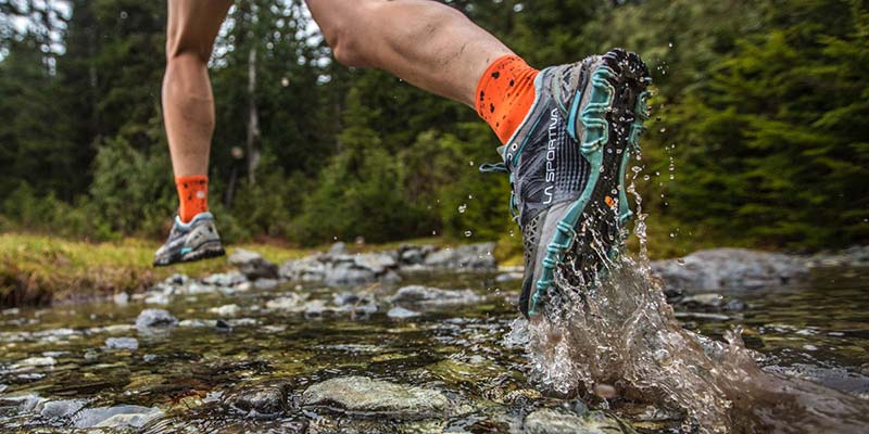 Mountain challenge: first Monchique Open Trail this Saturday|