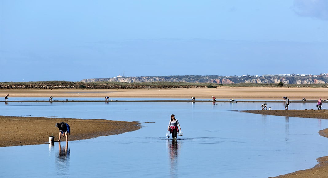1ªs Jornadas de Gastronomia de Portimão’|1ªs Jornadas de Gastronomia de Portimão’