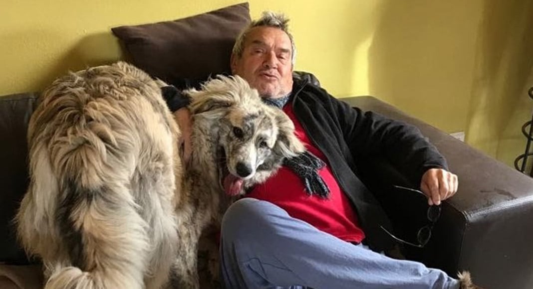 Marley finally finds his forever home|Marley finally finds his forever home|Marley finally finds his forever home|Marley finally finds his forever home