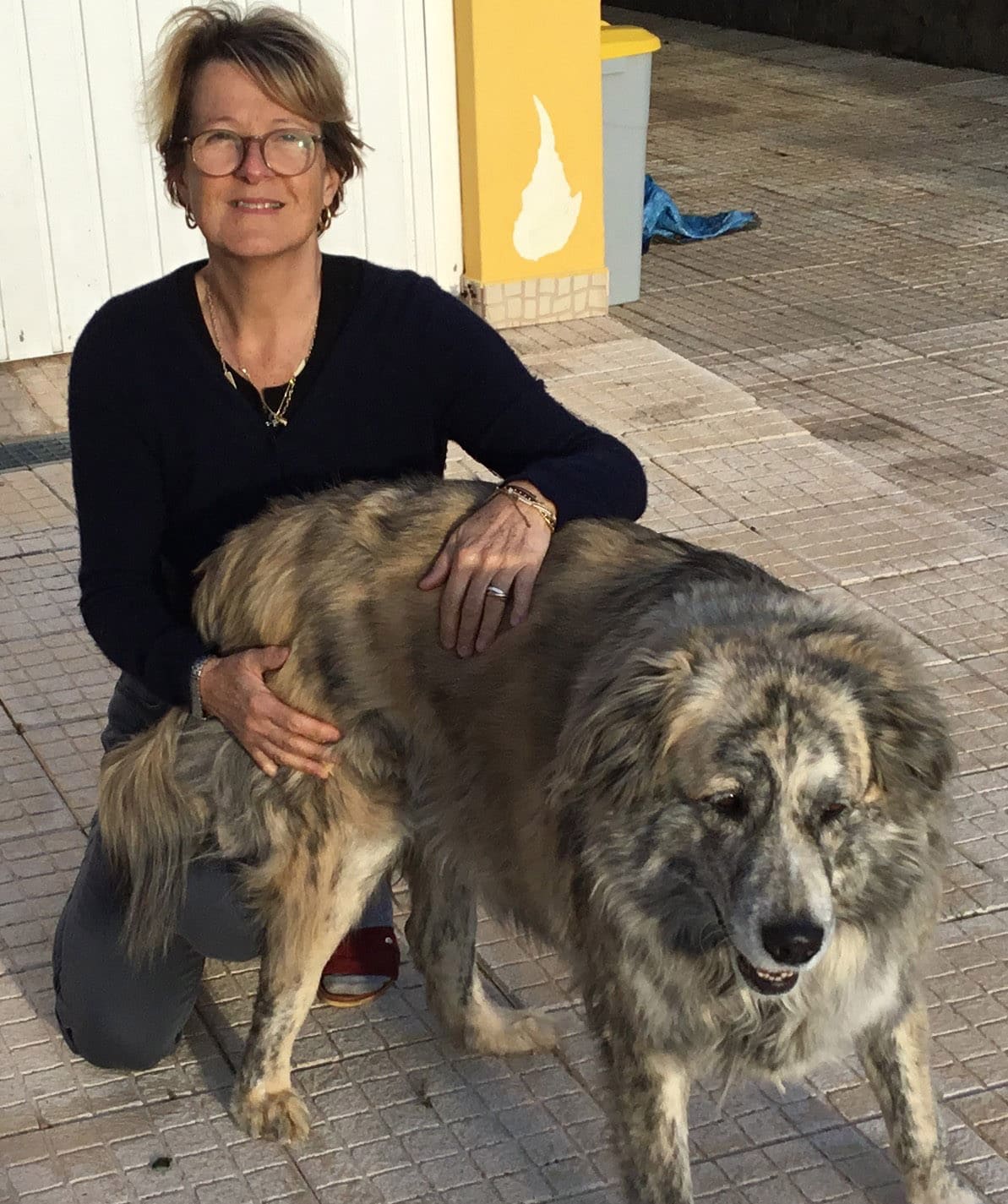 Marley finally finds his forever home