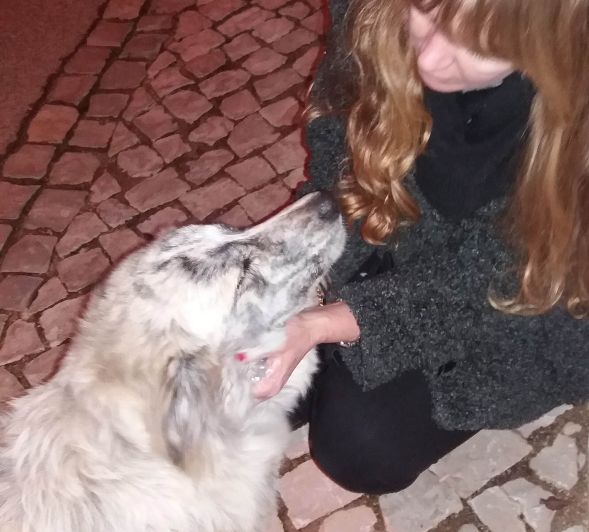 Marley finally finds his forever home