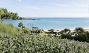 Art, Design and Wellbeing Weekend at Martinhal Sagres