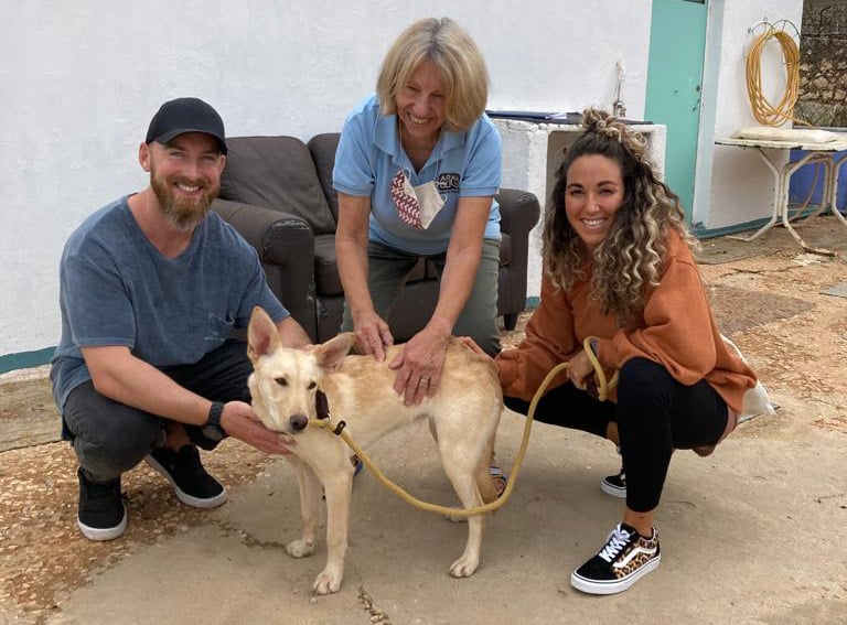 Pet Corner: Blondie’s makeover