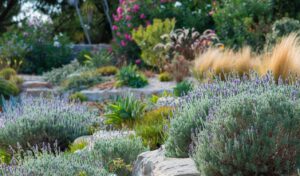 Mediterranean Gardening Fair held in Lagoa