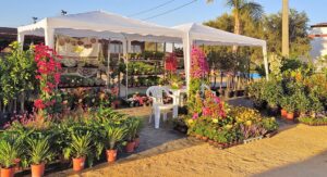 Spring Mediterranean Garden Fair returns to Estoi next month