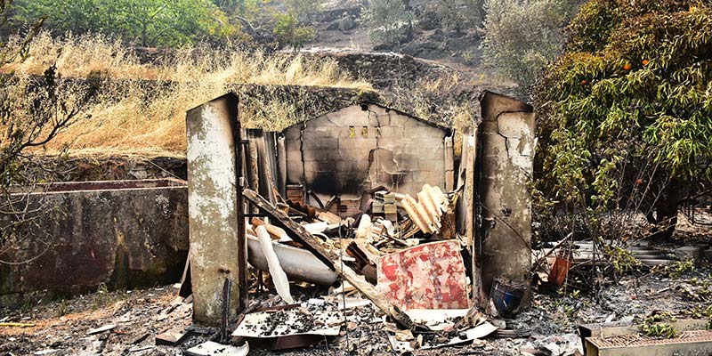 Architects to help rebuild houses destroyed by wildfire in Monchique