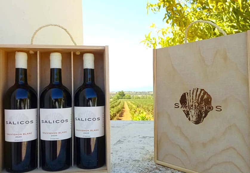 Monte de Salicos|Monte de Salicos|Monte de Salicos|Monte de Salicos|Monte de Salicos