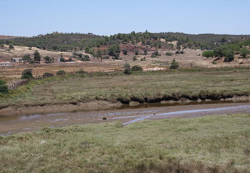 Morgado do Arge (by Michael Bruxo) 31|eco-resort planned for Portimão|eco-resort planned for Portimão|MORGADO-ARGE--Desenho-Urbano-Ilustrativo-1-10000-67-2000-2000-99