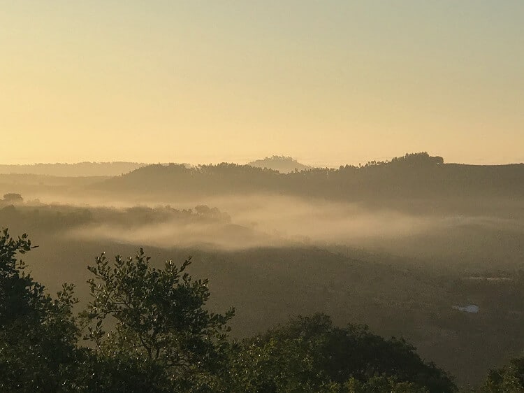 A misty morning view down the valley