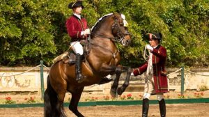 President welcomes UNESCO status for Portuguese equestrian art