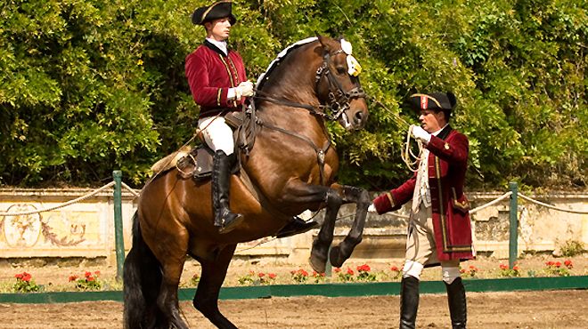 President welcomes UNESCO status for Portuguese equestrian art