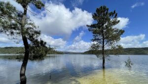 Government’s water management strategy “incomplete and contradictory”
