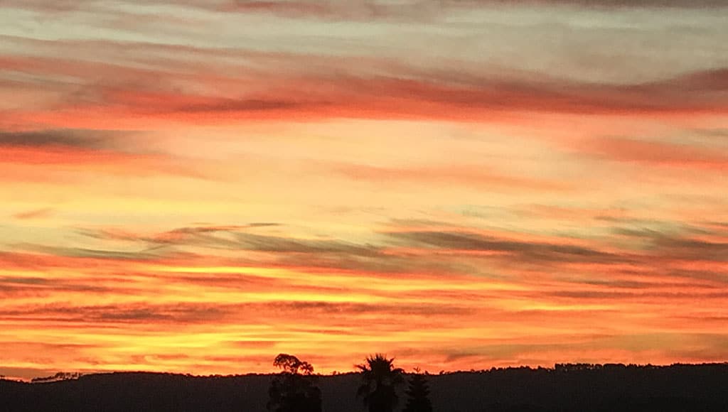 A November sunrise over our valley|Chestnut UNSPLASH SML|“Saint Martin and the Beggar” by Greek mannerist painter El Greco is perhaps the most famous painting of the story (c1597–1599)|Various depictions of St Martin and the beggar from an internet search page|One of our favourite beaches on the SW Alentejo coast for a St Martin’s summer dip