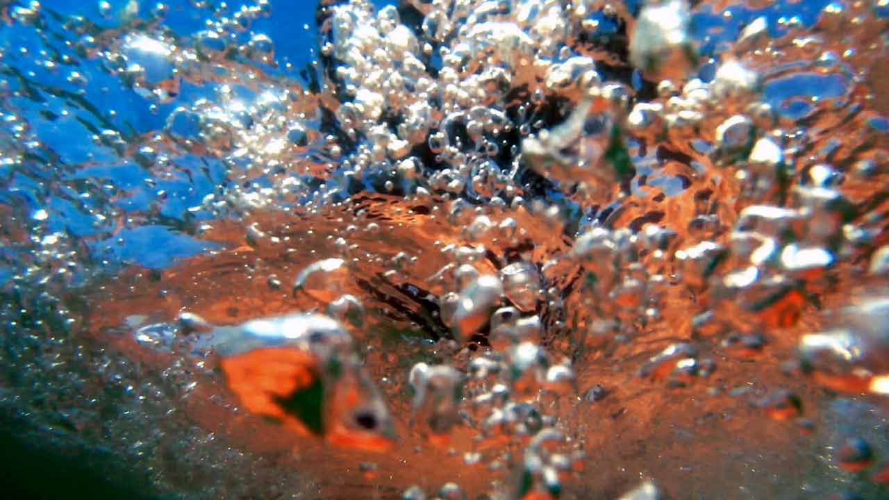 O-Fantástico-Mundo-Surfistic-04