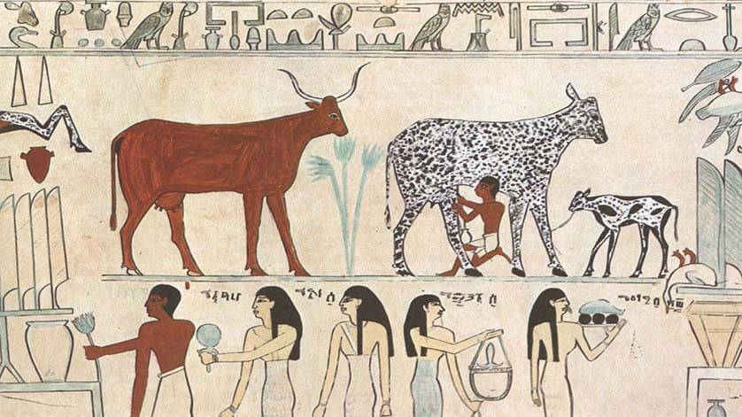 Old Egyptian hieroglyphic painting showing men and women depicted with different skin colours|Illustrated front cover from The Queenslander (April 16, 1936)|Mars and Venus Suprised by Vulcan - Alexandre-Charles Guillemot (1827). Mars has bronzed skin whilst Venus is depicted with fair skin