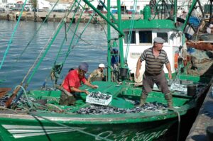 Overdue dredging worries Algarve fishermen