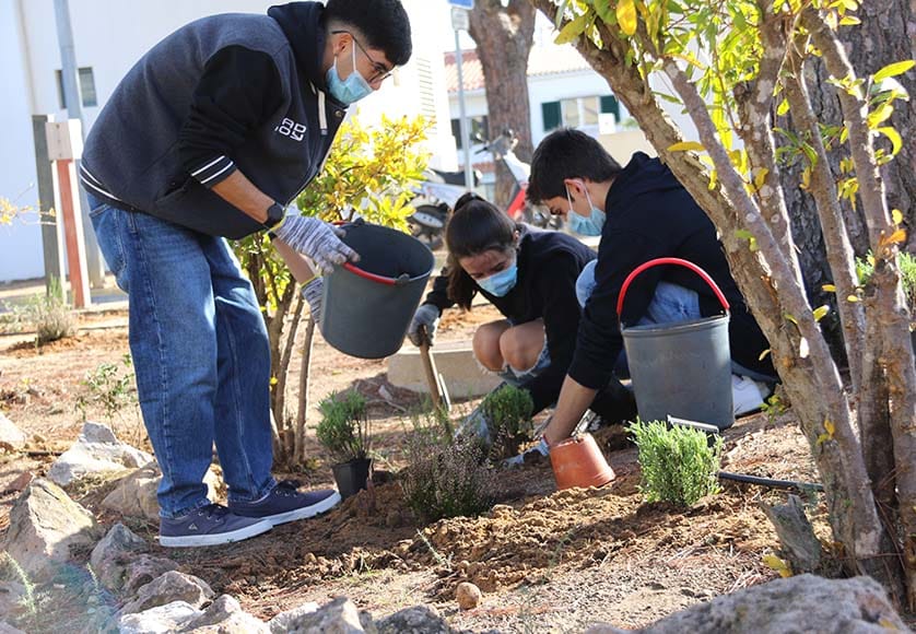 Volunteers to plant 42,000 trees in eight Algarve boroughs|Volunteers to plant 42,000 trees in eight Algarve boroughs|Volunteers to plant 42,000 trees in eight Algarve boroughs