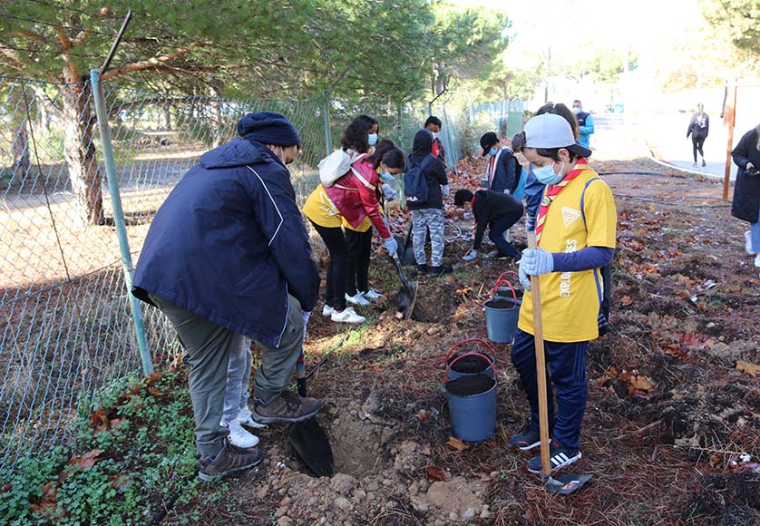Volunteers to plant 42,000 trees in eight Algarve boroughs