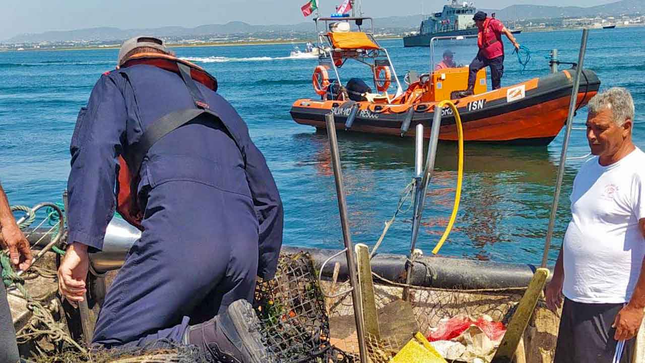 Zoomarine cleans up Algarve beaches|Zoomarine cleans up Algarve beaches|Zoomarine cleans up Algarve beaches.1