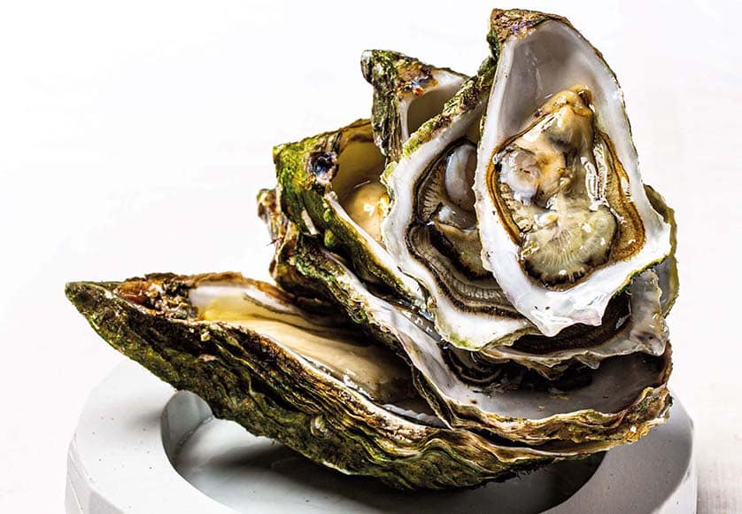 Ostra Select’s exquisite oysters hit the road with a new catering service|Ostra Select’s exquisite oysters hit the road with a new catering service|Ostra Select’s exquisite oysters hit the road with a new catering service|Ostra Select’s exquisite oysters hit the road with a new catering service|Ostra Select’s exquisite oysters hit the road with a new catering service|Ostra Select’s exquisite oysters hit the road with a new catering service|Ostra Select’s exquisite oysters hit the road with a new catering service|Ostra Select’s exquisite oysters hit the road with a new catering service|Ostra Select’s exquisite oysters hit the road with a new catering service
