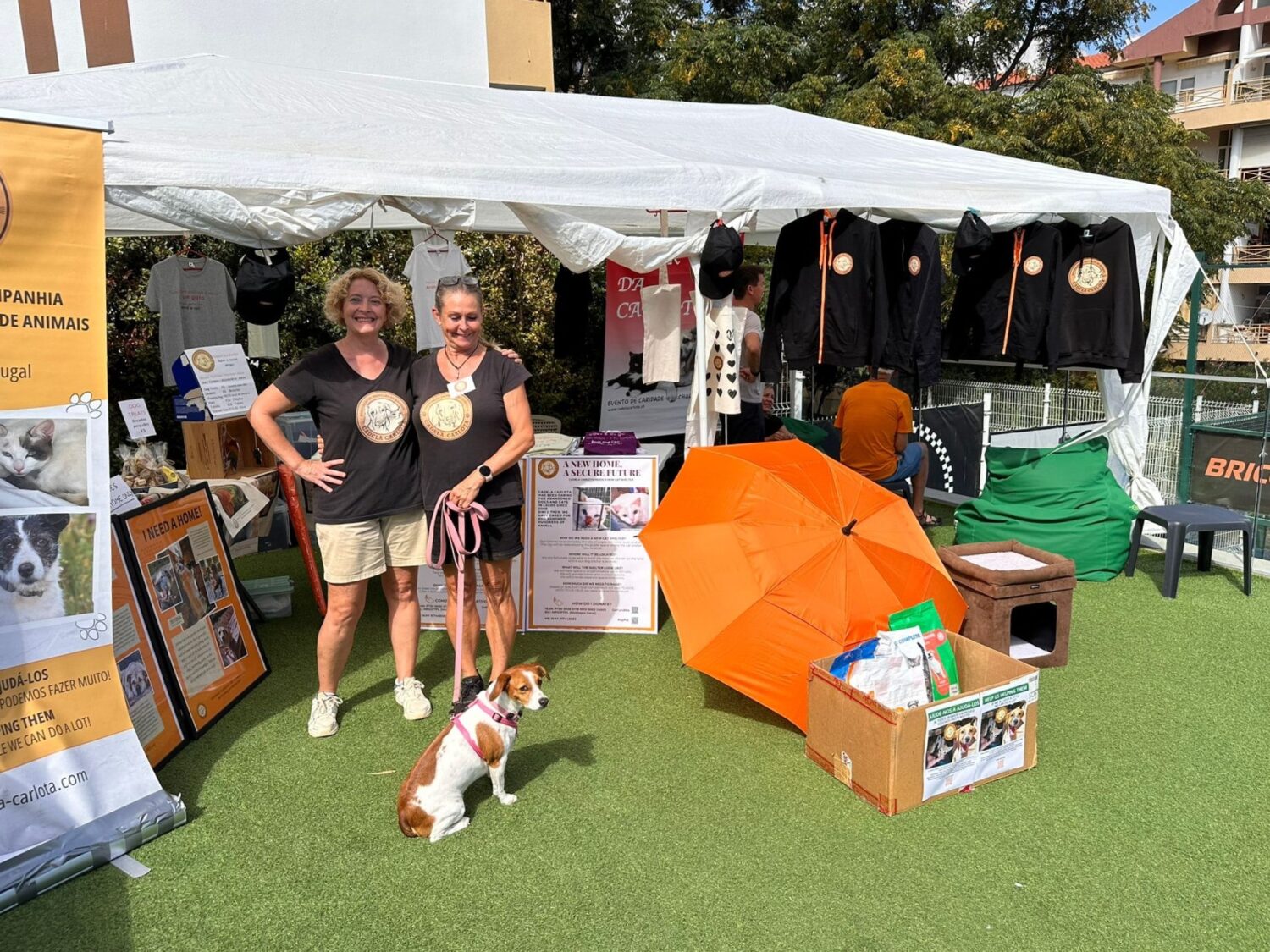 Pet Corner - Looking back at 2024 and forward to an exciting 2025|Pet Corner - Looking back at 2024 and forward to an exciting 2025|Pet Corner - Looking back at 2024 and forward to an exciting 2025|Pet Corner - Looking back at 2024 and forward to an exciting 2025|Cadela Carlota