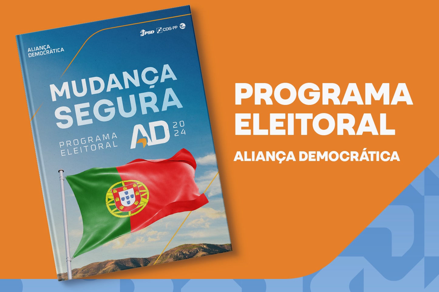 PSD-home-programa_0
