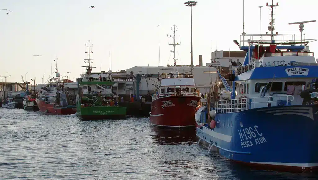 Fishing boats in Azores